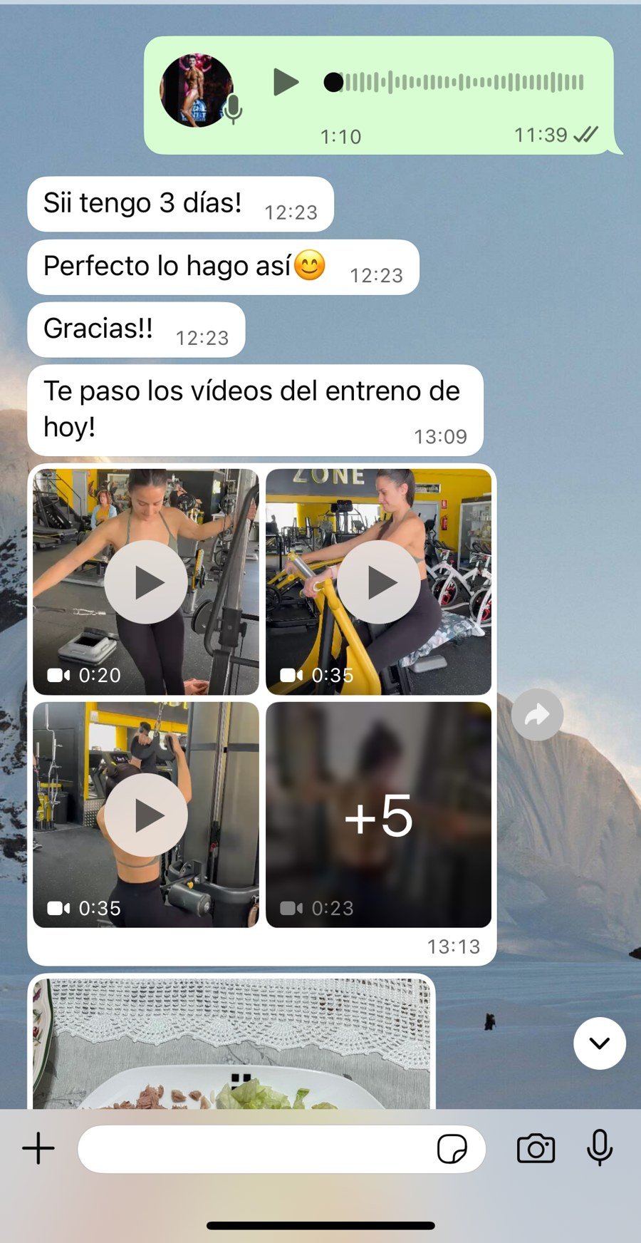 Conversación real de WhatsApp con un cliente